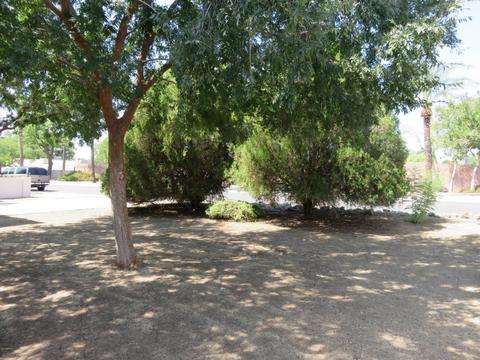 6325 N 16th Dr, Phoenix, AZ 85015 photo 2