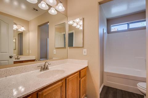 2010 E Palomino Dr, Gilbert, AZ 85296 photo 12