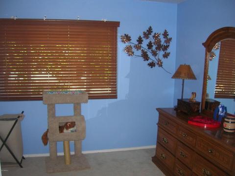 6108 E Decatur St, Mesa, AZ 85205 photo 9