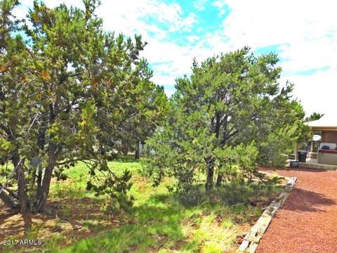 731 E Tall Tree St, Williams, AZ 86046 photo 35