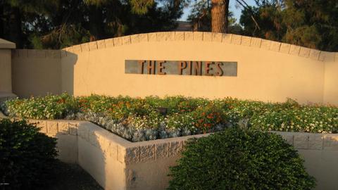 3915 E Carson Rd, Phoenix, AZ 85042 photo 26