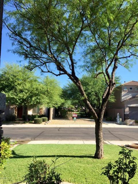 4043 E Saint John Rd, Phoenix, AZ 85032 photo 5