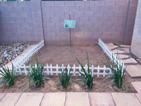 4043 E Saint John Rd, Phoenix, AZ 85032 photo 29