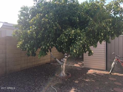 2933 E Sequoia Dr, Phoenix, AZ 85050 photo 28