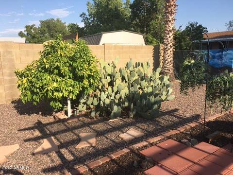 2933 E Sequoia Dr, Phoenix, AZ 85050 photo 27