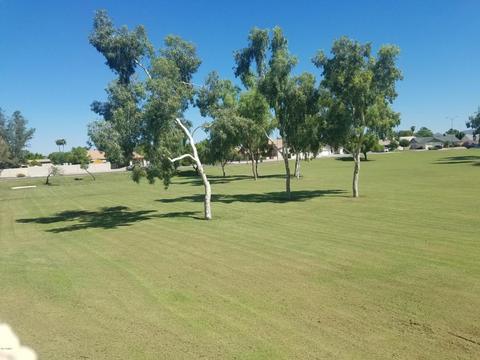 5240 E Forge Ave, Mesa, AZ 85206 photo 7