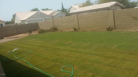 4020 Encinas Ave, Gilbert, AZ 85234 photo 16