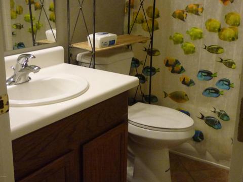 2554 W Feldspar Cir, Apache Junction, AZ 85120 photo 14