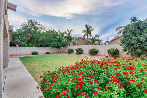 10350 E Jan Ave, Mesa, AZ 85209 photo 29