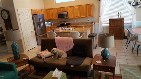 241 W Smoke Tree Rd, Gilbert, AZ 85233 photo 6