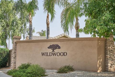1673 S Boulder St, Gilbert, AZ 85295 photo 58