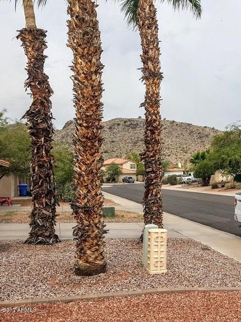 4365 E Corral Rd, Phoenix, AZ 85044 photo 4