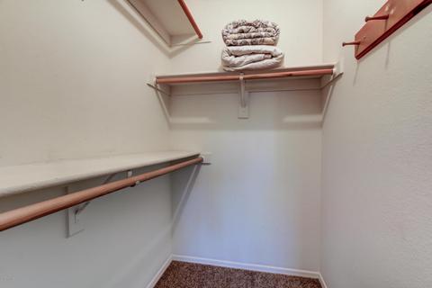 5459 Elena Ave, Mesa, AZ 85206 photo 14