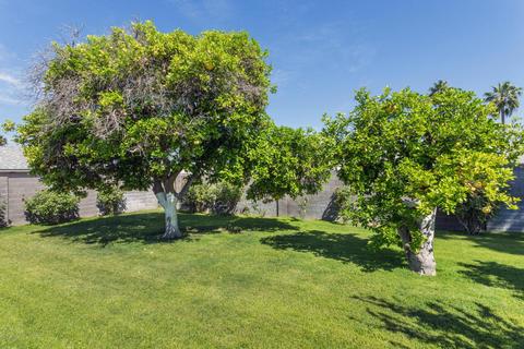 502 E Westchester Dr, Tempe, AZ 85283 photo 18