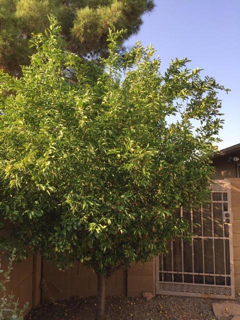 225 E Surrey Ave, Phoenix, AZ 85022 photo 34