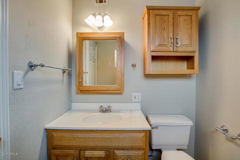 913 E Millett Ave, Mesa, AZ 85204 photo 19