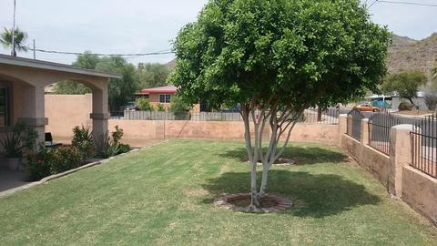 10428 N 13th Ave, Phoenix, AZ 85021 photo 2