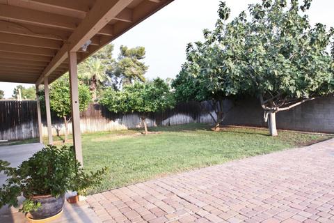 3771 E Captain Dreyfus Ave, Phoenix, AZ 85032 photo 29