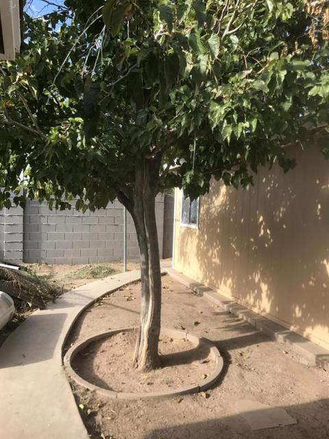 526 S Standage St, Mesa, AZ 85202 photo 20
