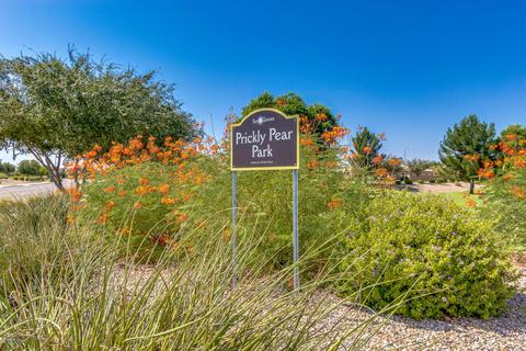 4573 E County Down Dr, Chandler, AZ 85249 photo 37