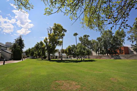 3716 E University Dr #1015, Mesa, AZ 85205 photo 19