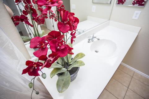 2150 E Bell Rd #1128, Phoenix, AZ 85022 photo 35