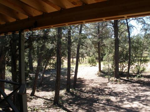 3334 E Panorama Dr, Overgaard, AZ 85933 photo 14