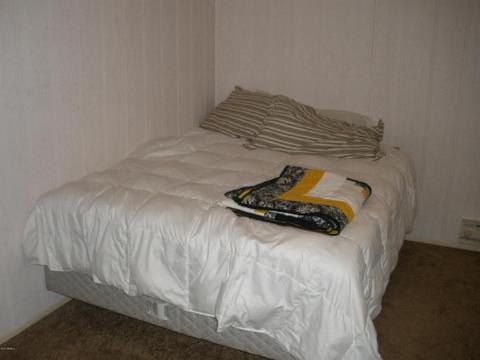 3334 E Panorama Dr, Overgaard, AZ 85933 photo 11