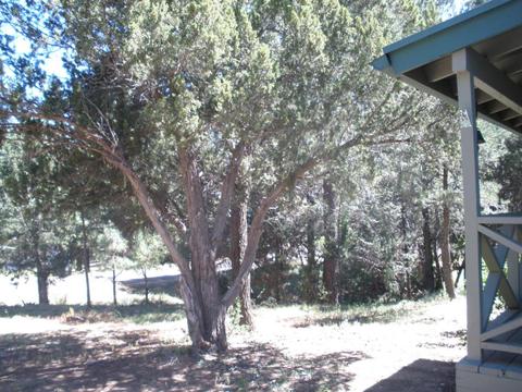 3334 E Panorama Dr, Overgaard, AZ 85933 photo 18