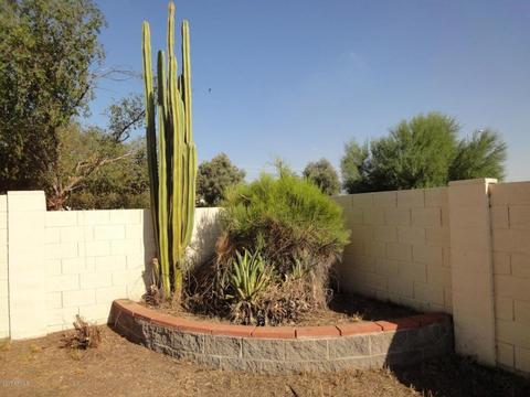 9923 E Decatur St, Mesa, AZ 85207 photo 47