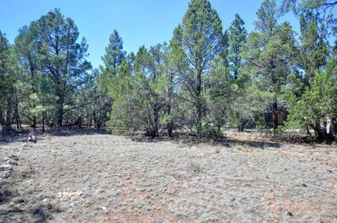 3380 Turkey Run, Overgaard, AZ 85933 photo 14