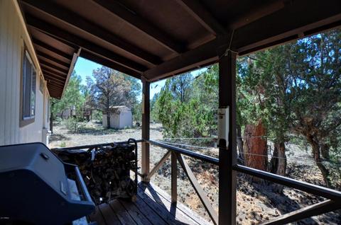 3380 Turkey Run, Overgaard, AZ 85933 photo 13