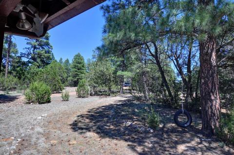 3380 Turkey Run, Overgaard, AZ 85933 photo 4
