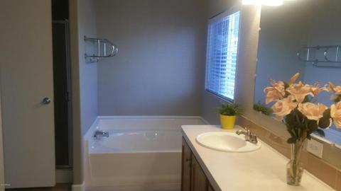 9645 Escondido Ave, Mesa, AZ 85208 photo 13