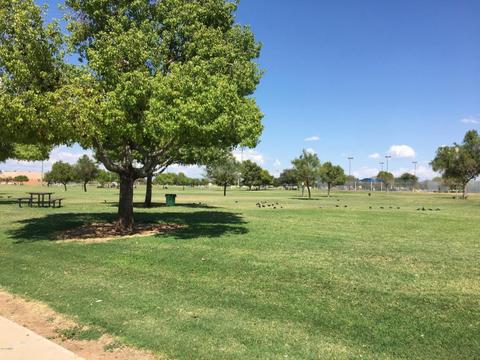 2214 W Sequoia Dr, Phoenix, AZ 85027 photo 32