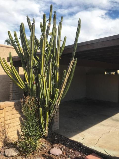 1258 E Avenida Hermosa --, Phoenix, AZ 85014 photo 1