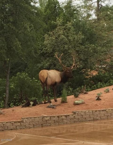 44 N Pine Ridge Cir, Payson, AZ 85541 photo 37