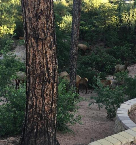 44 N Pine Ridge Cir, Payson, AZ 85541 photo 10