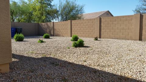 1710 E Harwell Rd, Phoenix, AZ 85042 photo 8