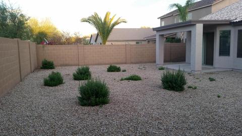1710 E Harwell Rd, Phoenix, AZ 85042 photo 5