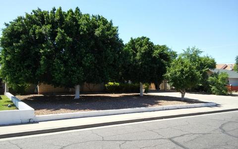 415 E 10th Pl, Mesa, AZ 85203 photo 2