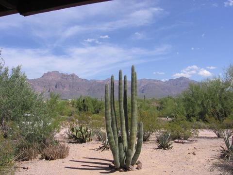 1686 S Goldfield Rd, Apache Junction, AZ 85119 photo 23