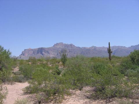 1686 S Goldfield Rd, Apache Junction, AZ 85119 photo 28
