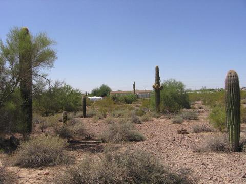 1686 S Goldfield Rd, Apache Junction, AZ 85119 photo 2