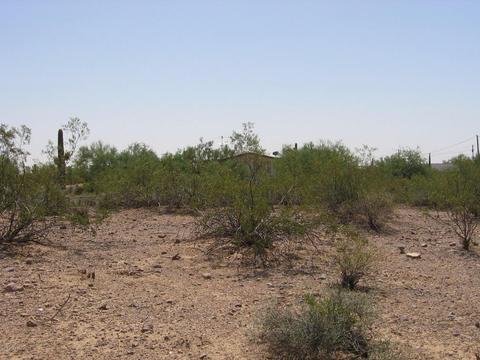 1686 S Goldfield Rd, Apache Junction, AZ 85119 photo 29