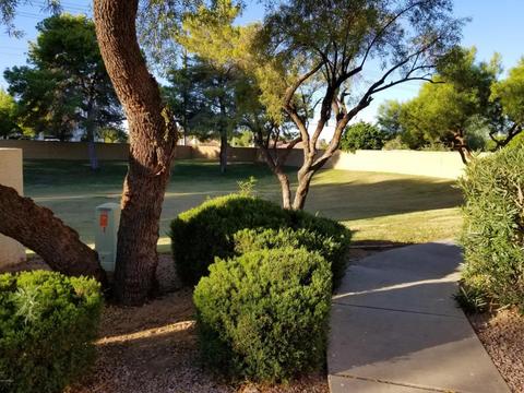5808 E Brown Rd #95, Mesa, AZ 85205 photo 1