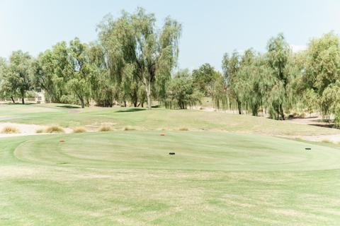 5540 Enrose St, Mesa, AZ 85205 photo 27