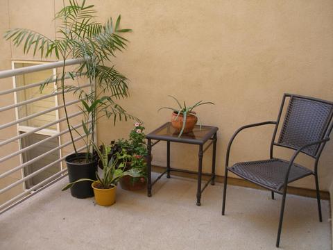 706 E Washington St #206, Phoenix, AZ 85034 photo 4