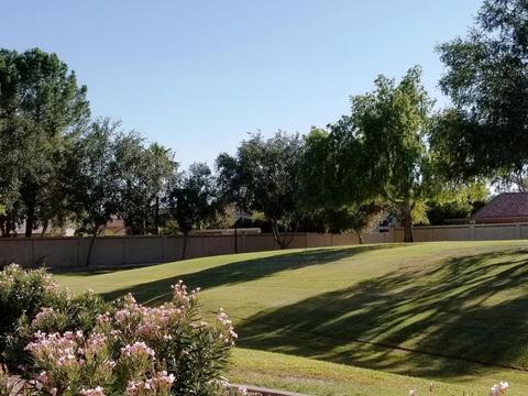 1108 W Iris Dr, Gilbert, AZ 85233 photo 27