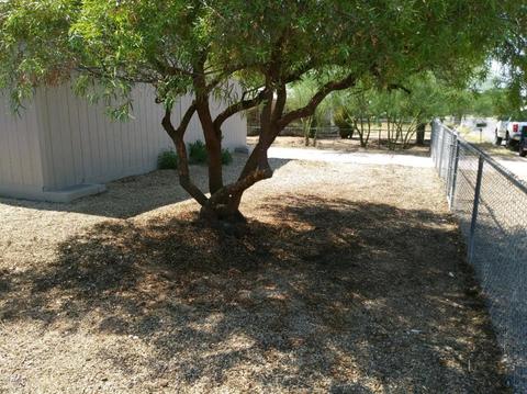8125 E Baltimore St, Mesa, AZ 85207 photo 7